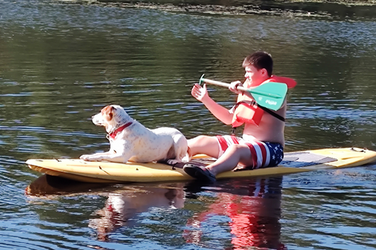 Adventures Unleashed: Keeping Your Dog Active and Safe at Campgrounds