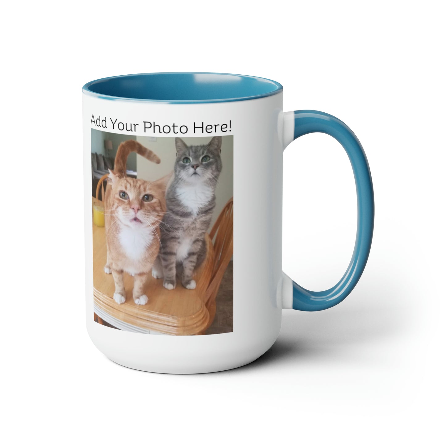 A Shelter Cat Rescued This Family; Personalized Mug